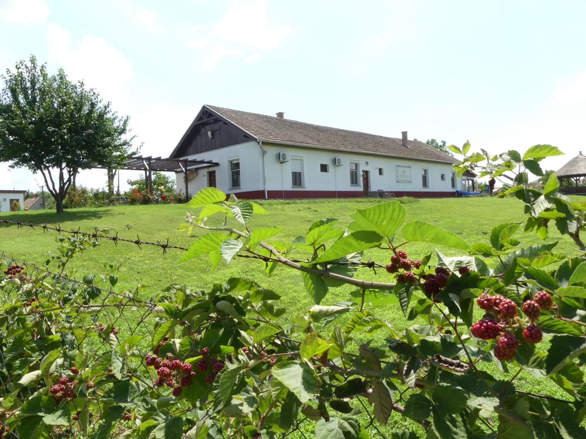 Tisza White House Bed and Breakfast Tiszaszolos Eksteriør billede