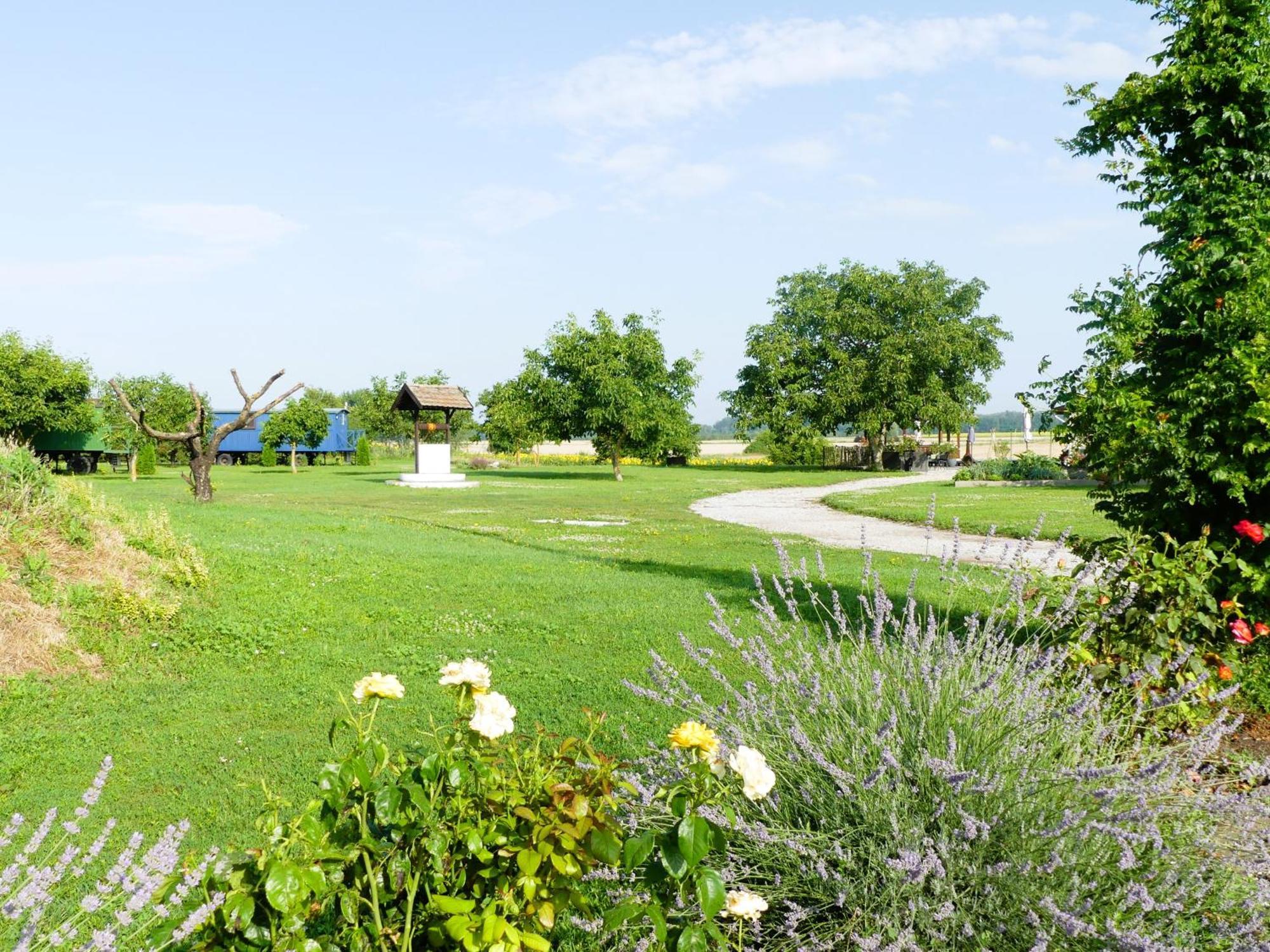Tisza White House Bed and Breakfast Tiszaszolos Eksteriør billede